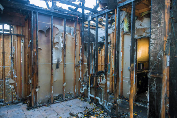 Professional Fire Damage Removal technician working in Arkansas, AR